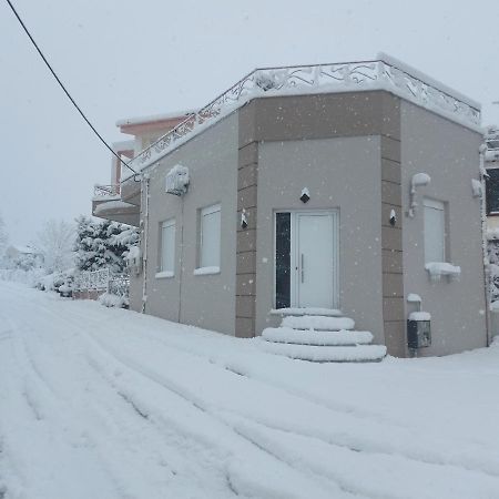 Lefis House Apartment Волос Екстериор снимка